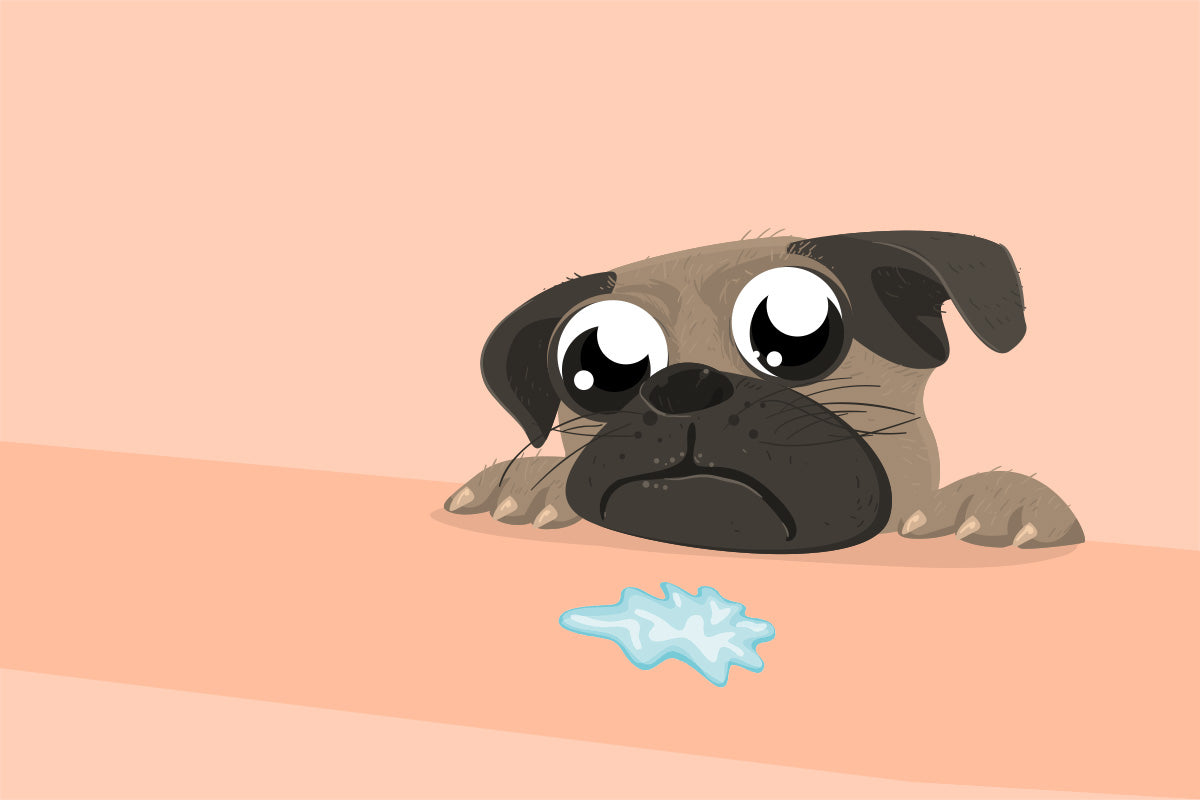 Gut Health Matters: Understanding Vomiting due to Chronic Gastritis in Dogs