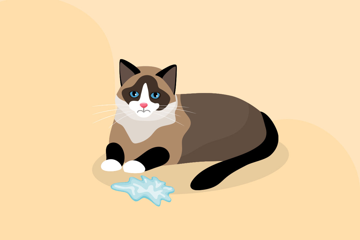 Tackling Chronic Gastritis-Induced Vomiting: Strategies for Pet Owners